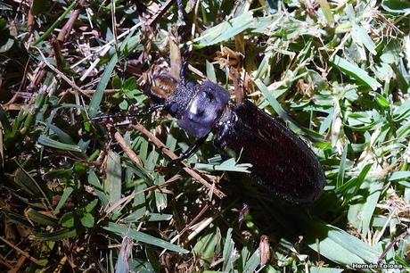 Salida a Ramón Biaus