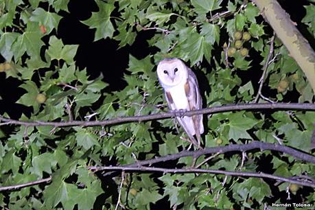 Salida a Ramón Biaus