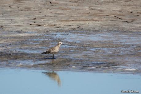 Salida a Ramón Biaus