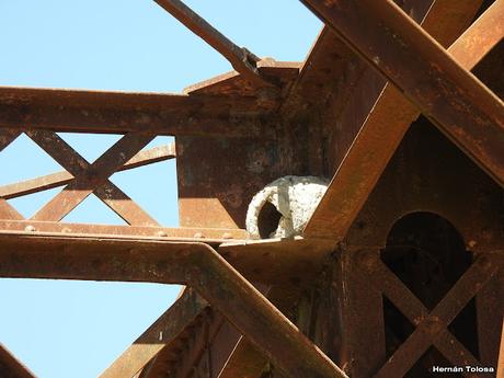 Salida a Ramón Biaus