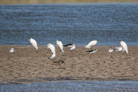 Salida a Ramón Biaus