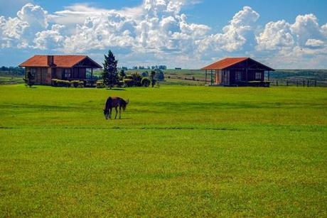 Todo lo que necesitas saber sobre hotel granja en un solo lugar