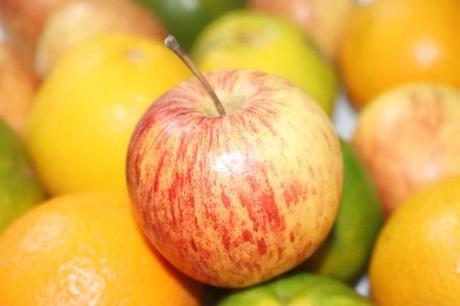 Todo lo que necesitas saber sobre hotel granja en un solo lugar