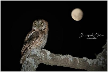 Salida a Ramón Biaus