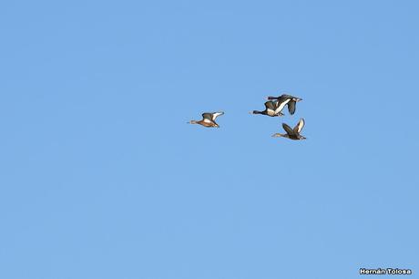 Salida a Ramón Biaus