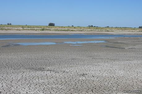 Salida a Ramón Biaus