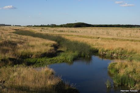 Salida a Ramón Biaus