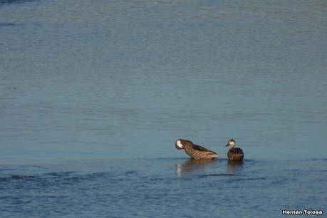 Salida a Ramón Biaus