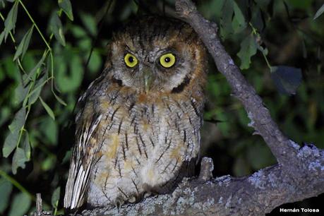 Salida a Ramón Biaus