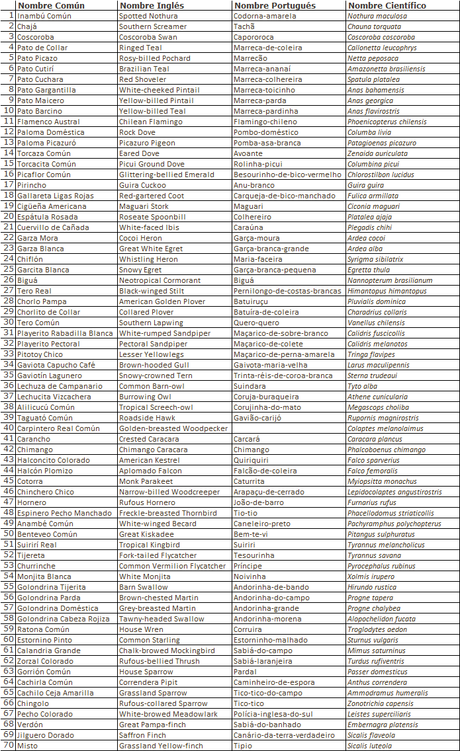 Salida a Ramón Biaus