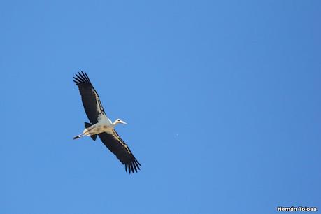 Salida a Ramón Biaus