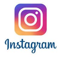 Tarta flor de chocolate