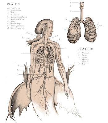 El resurreccionista, de E. B. Hudspeth