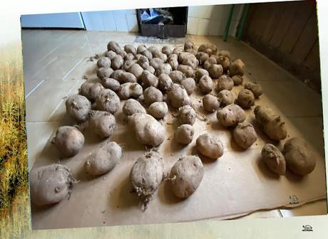 Un rincón de la Montaña Palentina (II)