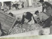 rincón Montaña Palentina (II)