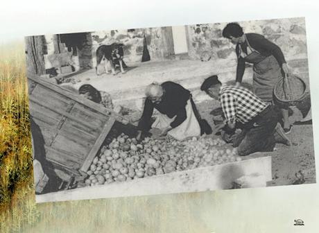 Un rincón de la Montaña Palentina (II)