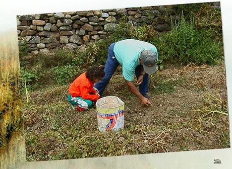 Un rincón de la Montaña Palentina (II)