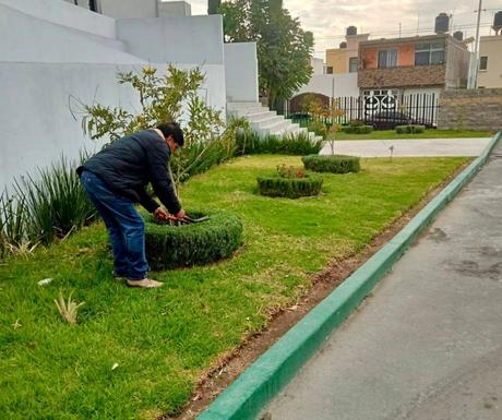 Gobierno de Soledad intensifica mantenimiento en espacios públicos y educativos para garantizar seguridad y limpieza