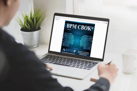 ¿Qué es la Guía CBOK y cuál es su objetivo?