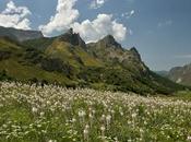 Situación Parque Natural Somiedo. visión personal estado Somiedo 2025 (Parcial)