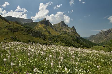 Situación del Parque Natural de Somiedo. Una visión personal del estado del Parque Natural de Somiedo en 2025 (Parcial)
