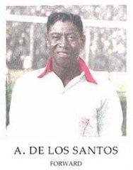 Alejandro Nicolas De los Santos