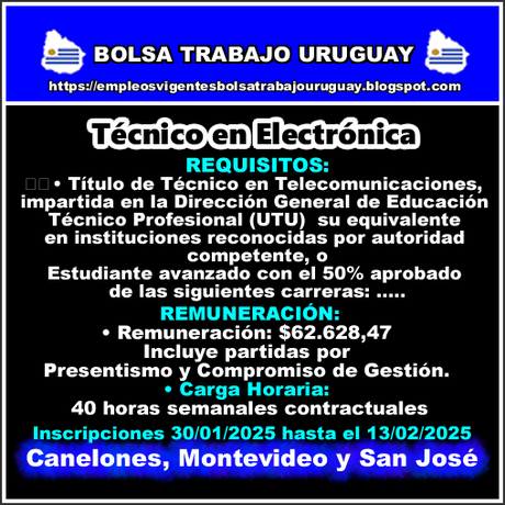 Técnico en Electrónica Técnico en Electrónica