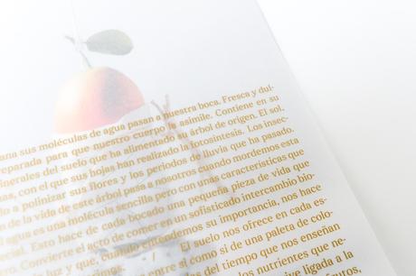 ‘Salvar el Mundo’, un proyecto de conciencia global