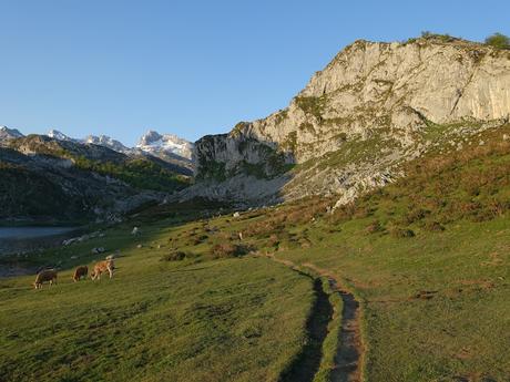 La Tiese-El Tolleyu-La Cabeza Julagua de Cangas y d´Onís-Las Juentes d´Onís