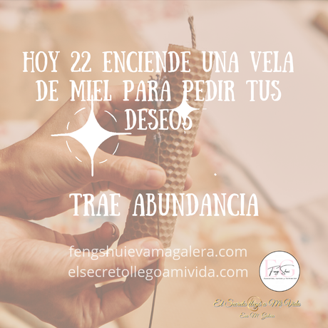 🕯️Vela de Miel hoy día 22 🍯🐝