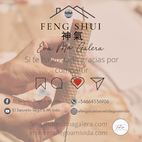 🕯️Vela de Miel hoy día 22 🍯🐝