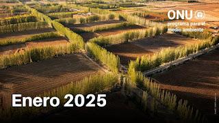 Resumen ambiental de enero: lo que nos depara el 2025