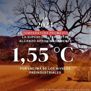 Resumen ambiental de enero: lo que nos depara el 2025