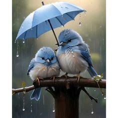 6.091 - SUELO MOJADO...