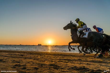 CARRERAS DE SANLÚCAR DE BARRAMEDA