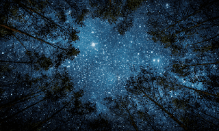 De la armonía de lo existente