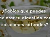 ¿Sabías puedes mejorar digestión soluciones naturales?