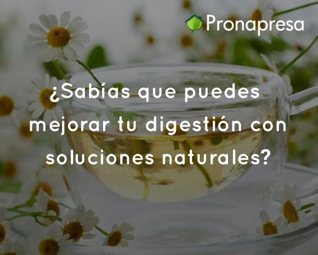 ¿Sabías que puedes mejorar tu digestión con soluciones naturales?