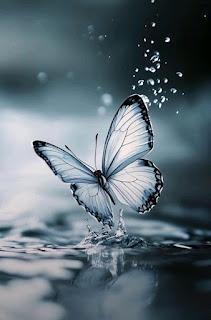 6.093 - DÍA TRANQUILO... 6.093 - DÍA TRANQUILO...