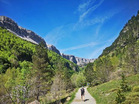 Fajas de Racón y Canarellos (P.N ORDESA Y MONTE PERDIDO)