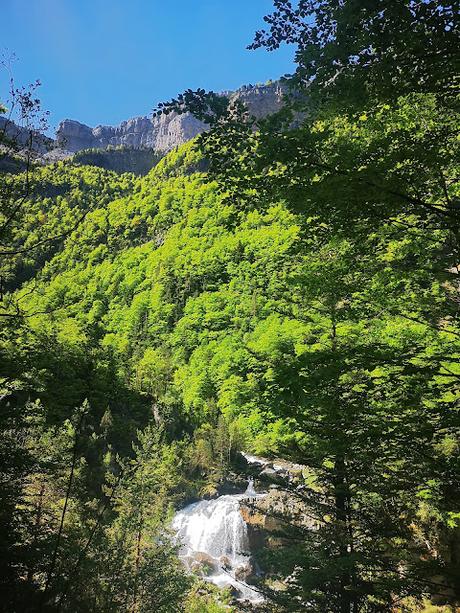 Fajas de Racón y Canarellos (P.N ORDESA Y MONTE PERDIDO)