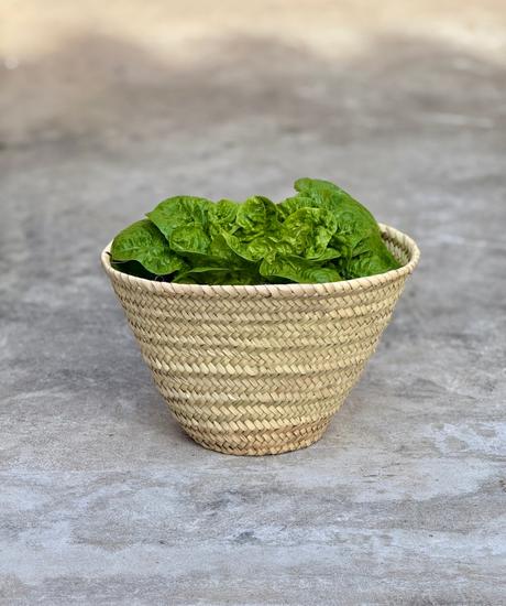 El hombre más rico del mundo.