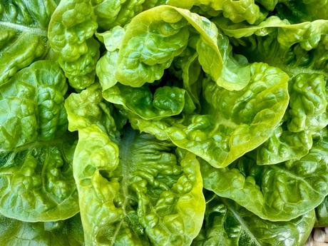 El hombre más rico del mundo.