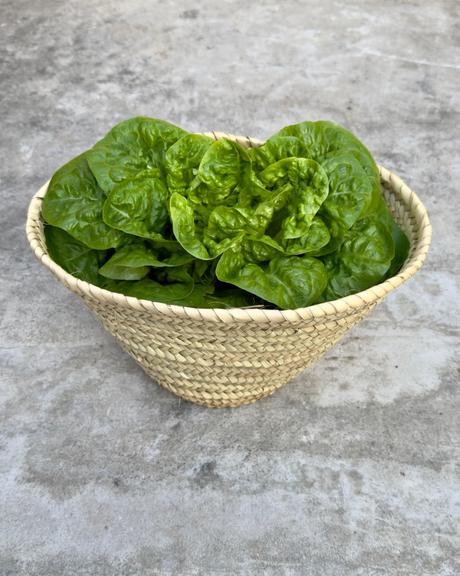 El hombre más rico del mundo.