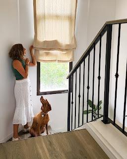 Plantas de interior: tres bellas variedades de FICUS Plantas de interior: tres bellas variedades de FICUS