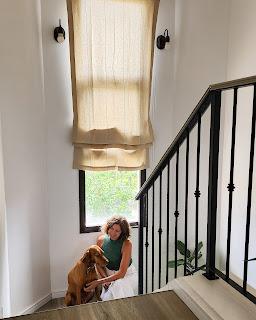 Plantas de interior: tres bellas variedades de FICUS Plantas de interior: tres bellas variedades de FICUS