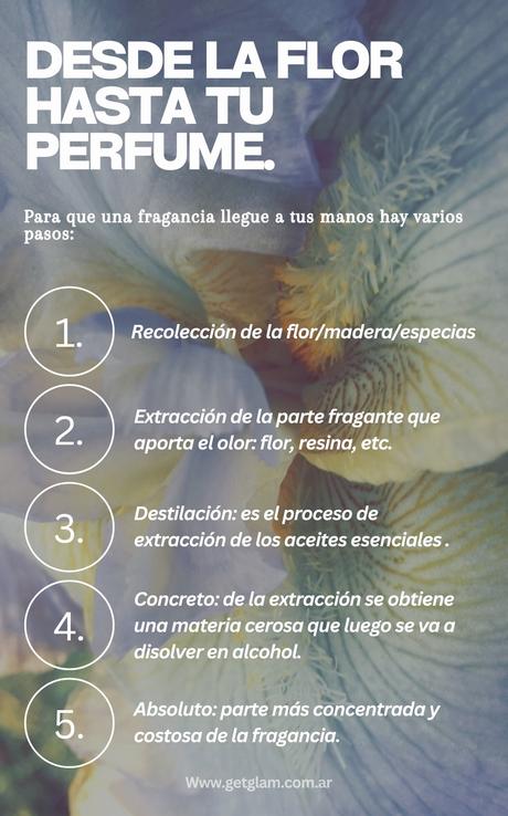 Perfumería pasos para crear un perfume Absoluto concreto extracción destilación pasos perfumes Dior natura Givenchy One Million