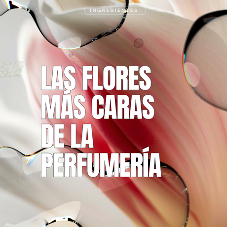 Perfumes árabes de mujer de hombre natura fragancias oud importados rosa Jazmín Jacinto Argentina precio
