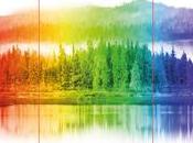 «Todos colores oscuridad», Chris Whitaker