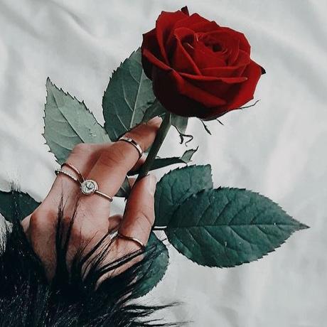 NO REGRESES CON LA PERSONA QUE TE HIZO DAÑO: APRENDE A CERRAR LA PUERTA AL PASADO NO REGRESES CON LA PERSONA QUE TE HIZO DAÑO: APRENDE A CERRAR LA PUERTA AL PASADO